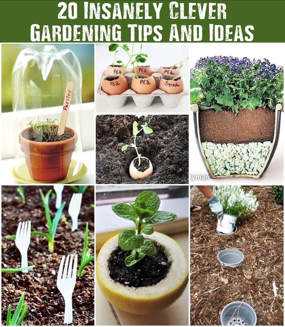 For some ingenious ideas and tips for your garden. 